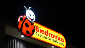 Biedronka rozpieszcza majsterkowiczów. Z tym sprzętem łatwiej zadbasz o ogród
