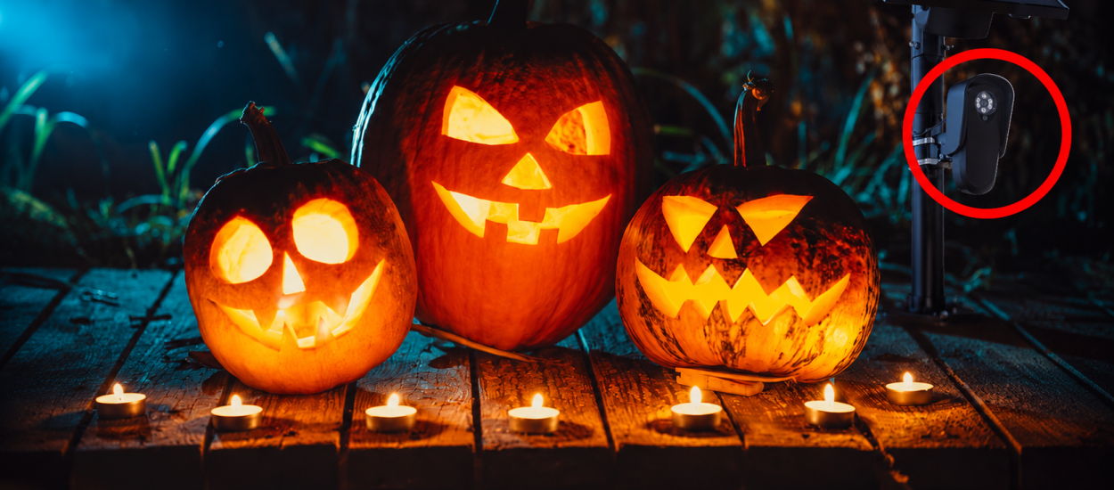 Będą niszczyć i rabować. Amerykanie mają szalony plan na tegoroczne Halloween
