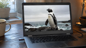 To może być oficjalnie 'rok Linuxa'. Wcale mnie to nie dziwi