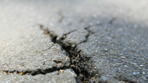 Naukowcy przewidzą trzęsienia Ziemi. Oto nasz nieoczekiwany sprzymierzeniec