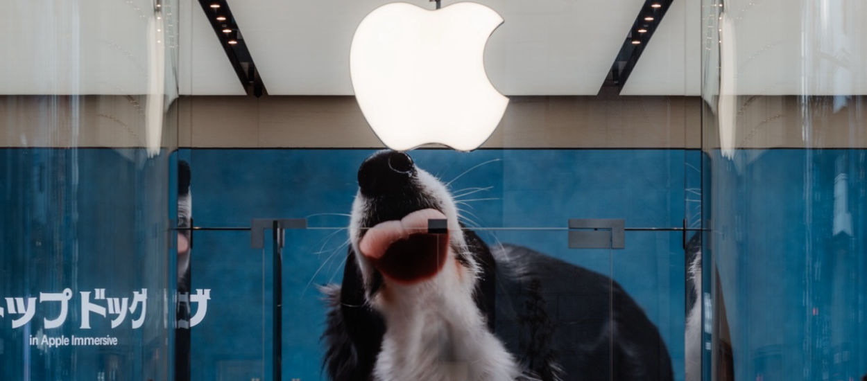 Apple nie pokazało iPhone’a 18. Co się z nim stało?