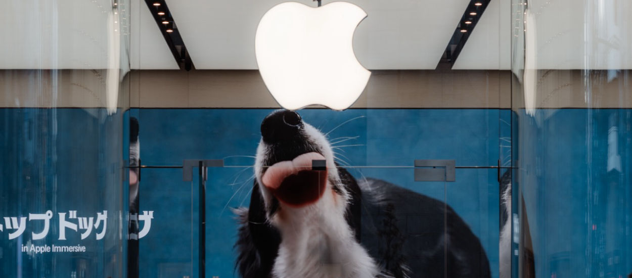 Tajemniczy sprzęt Apple wielkim rozczarowaniem? Zabraknie kluczowego komponentu